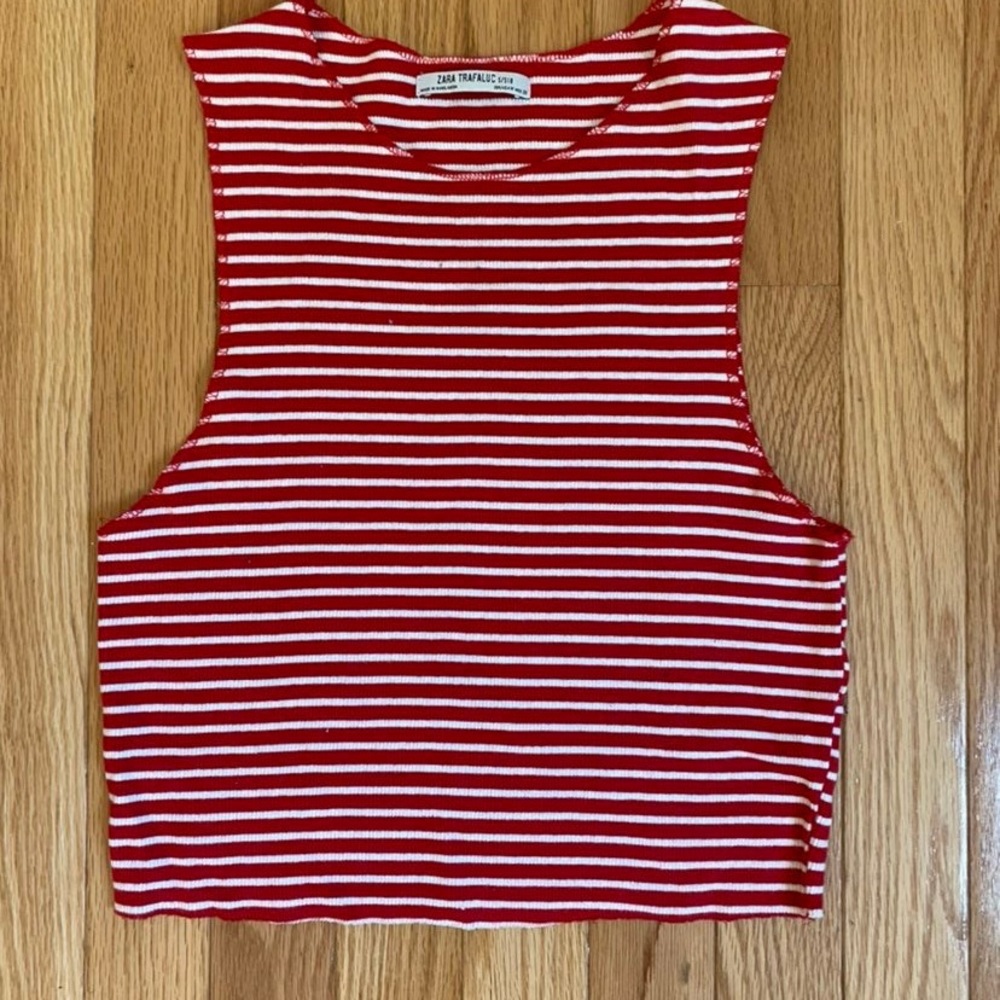 Zara Stripped Crop Top